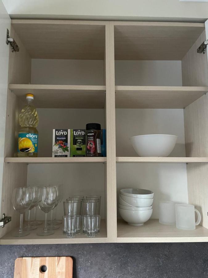 Mg Apartment 考纳斯 外观 照片